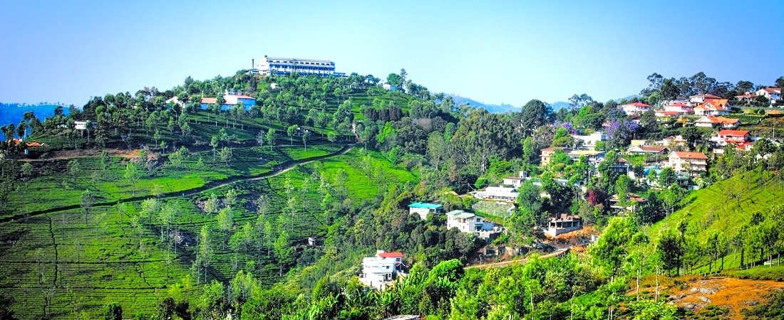 Chill Joy Travels Coonoor Tour Package